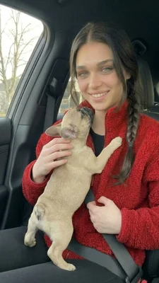 Woman Enjoys Time with Adorable Puppy in Car