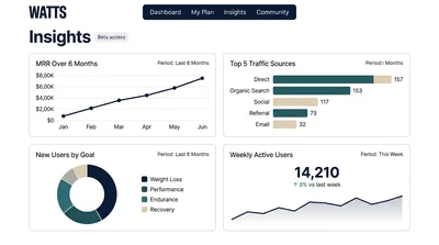 Monthly Insights Dashboard for User Engagement and Traffic Sources