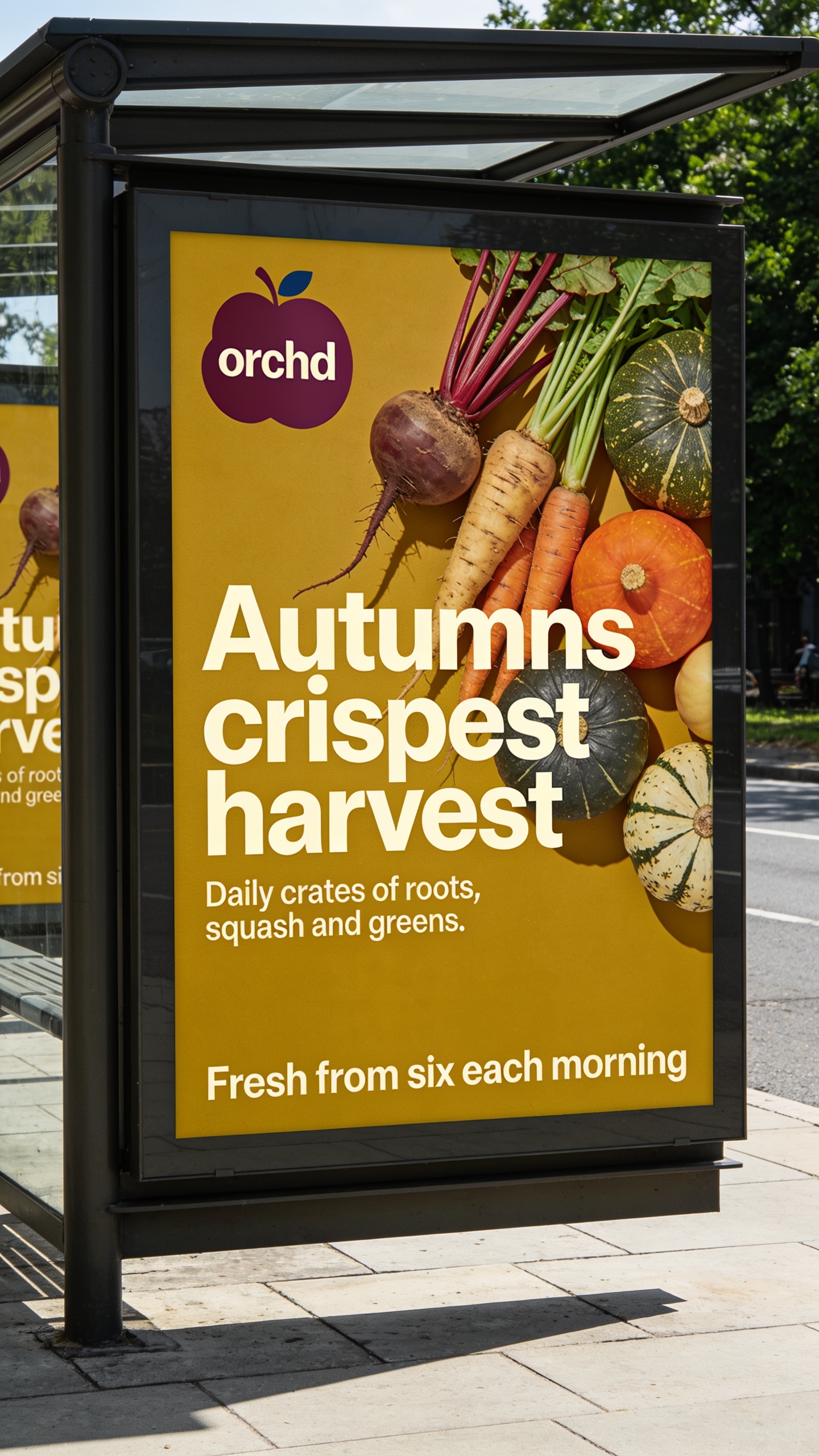 Autumn's Crispest Harvest Advertisement
