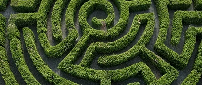 Intricate Maze Design Surrounded by Lush Greenery