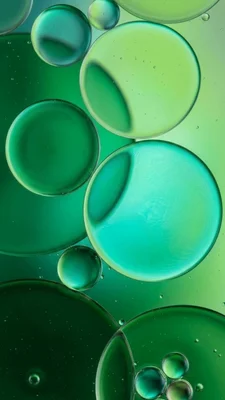 Abstract Green Bubble Background with Varying Sizes