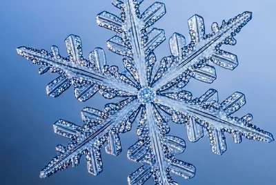 Intricate Snowflake Design Captured in Clear Detail