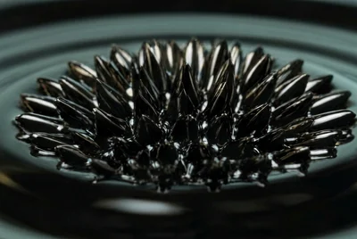 Magnificent Display of Ferrofluid Dynamics