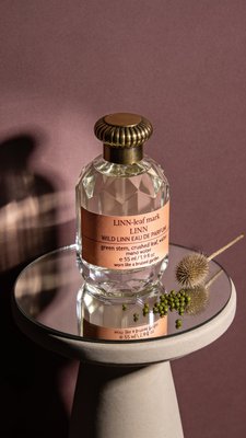 Elegant Glass Perfume Bottle on a Reflective Surface
